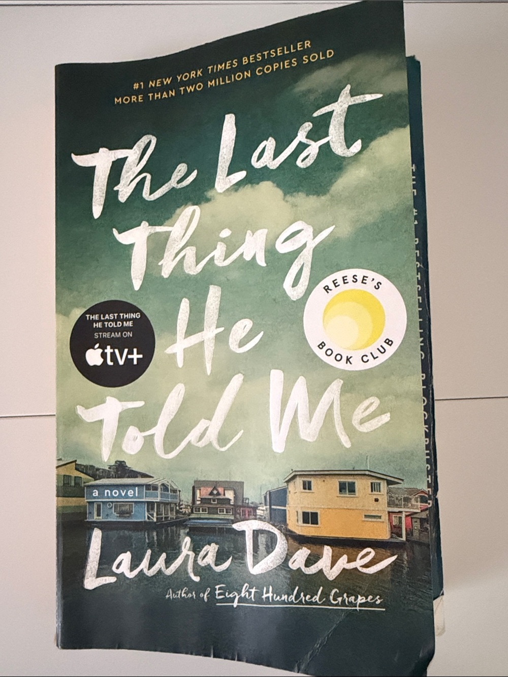 Laura Dave The Last Thing He Told Me - Green Paperback Novel